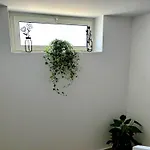 The Place Guest house Cutrofiano